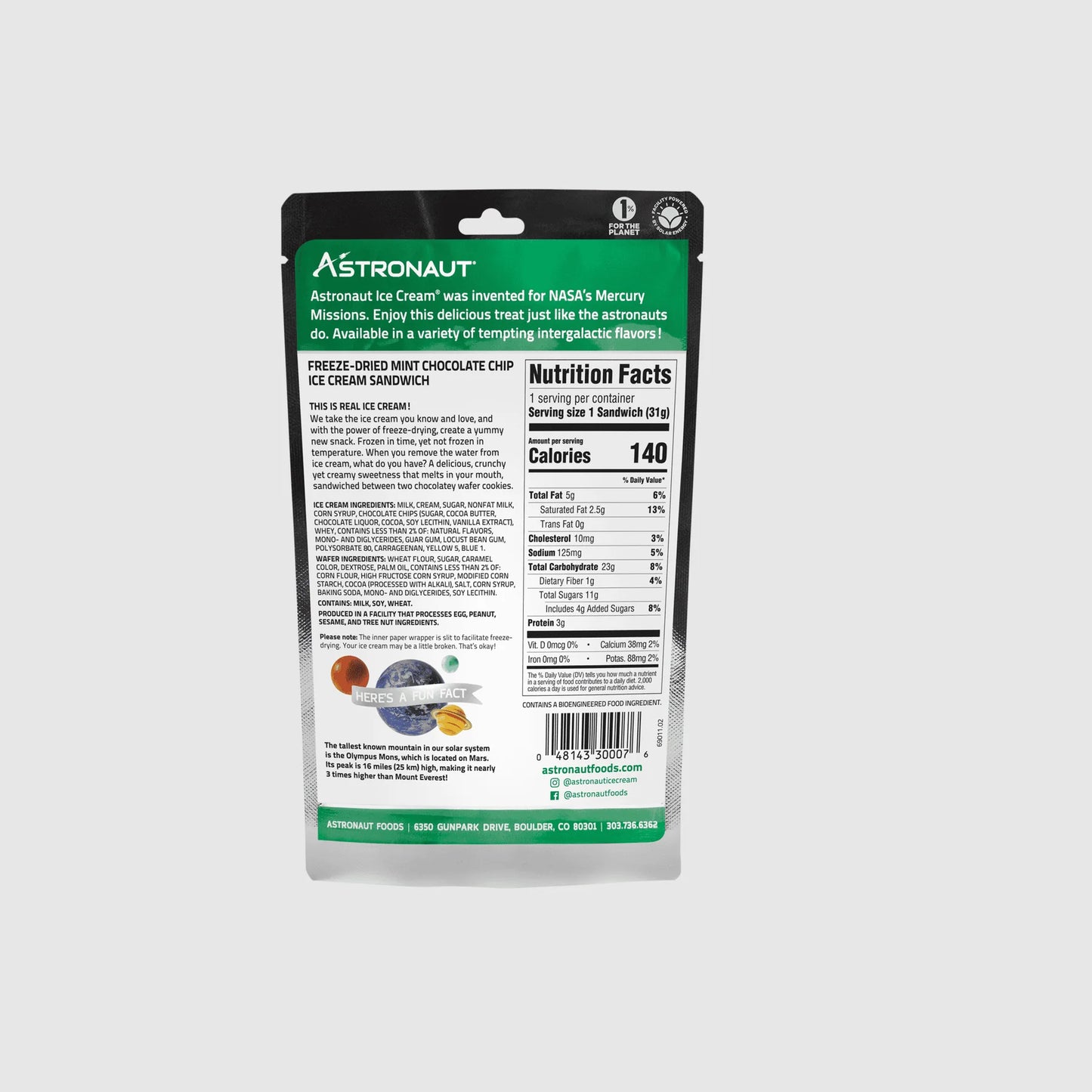 Astronaut Mint Chocolate Chip Ice Cream Sandwich