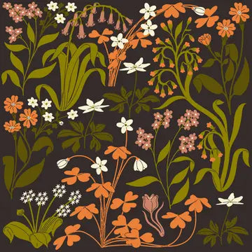 Bandana Designed By Sarah Cliff