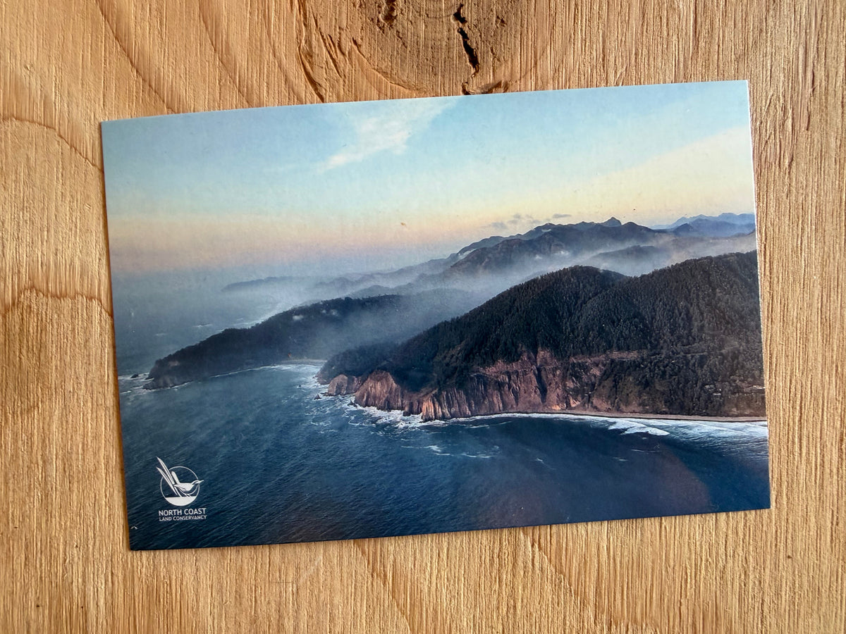 Postcard