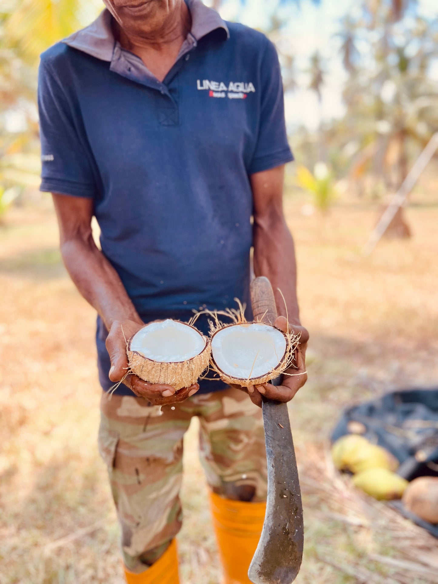 Cinnamon Vegan Coconut Creamer