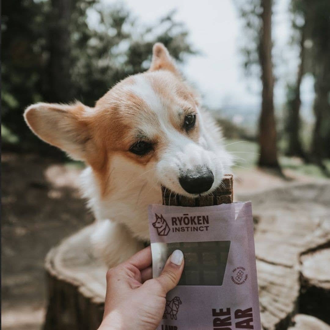 Lamb Treat & Snack Bar for Active Dogs - Energy & Recovery