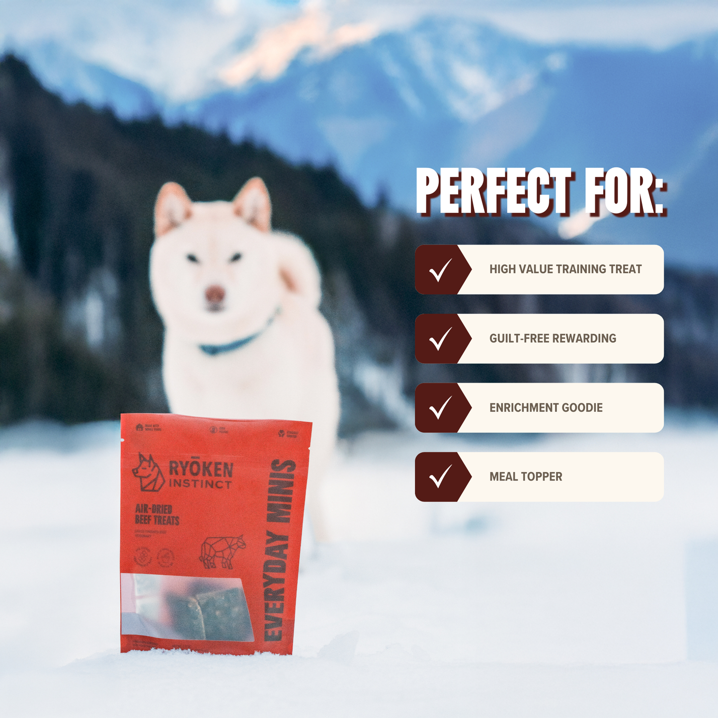 Beef Mini Training Treats for Dogs - Low-Calorie & Tasty
