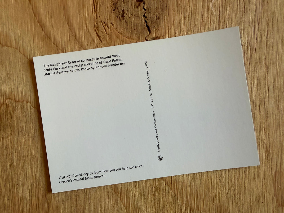Postcard