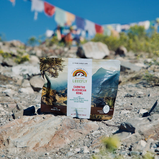 Organic Black Bean Bowl with Carnitas