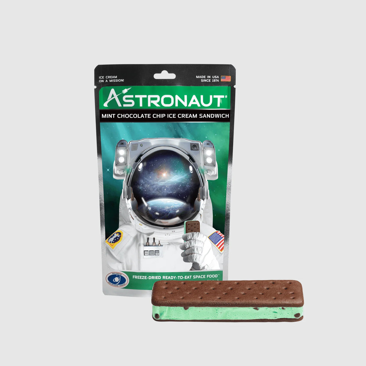 Astronaut Mint Chocolate Chip Ice Cream Sandwich