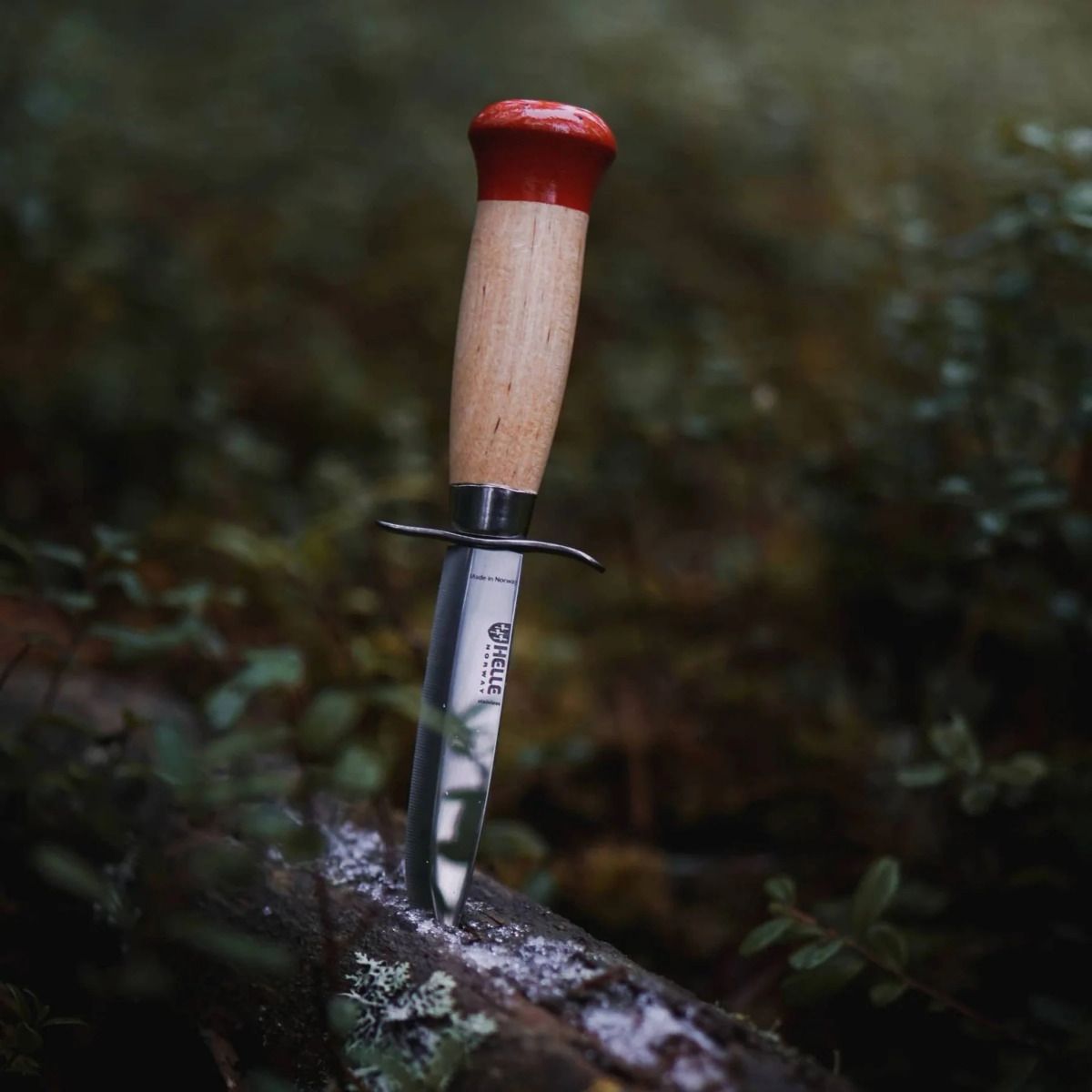 Speider Pike - Scout Knife