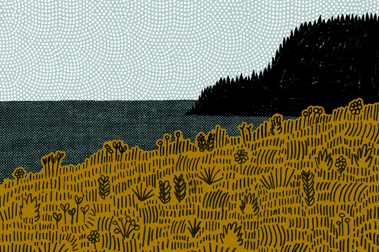 "Base Camp" Postcards