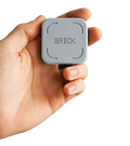 The Brick