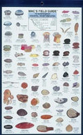 Mac's Field Guides: Northwest Coastal Invertebrates