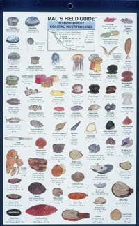 Mac's Field Guides: Northwest Coastal Invertebrates