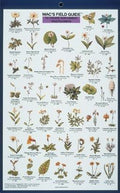 Mac's Field Guides: Pacific Northwest Wildflowers