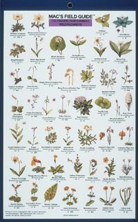 Mac's Field Guides: Pacific Northwest Wildflowers